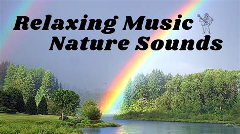 Nature relaxing music - Nov 6, 2019 ... A gentle relaxing music with footage of forests. Useful to reduce stress, to sleep and also to meditate. Namaste You can download this track ...